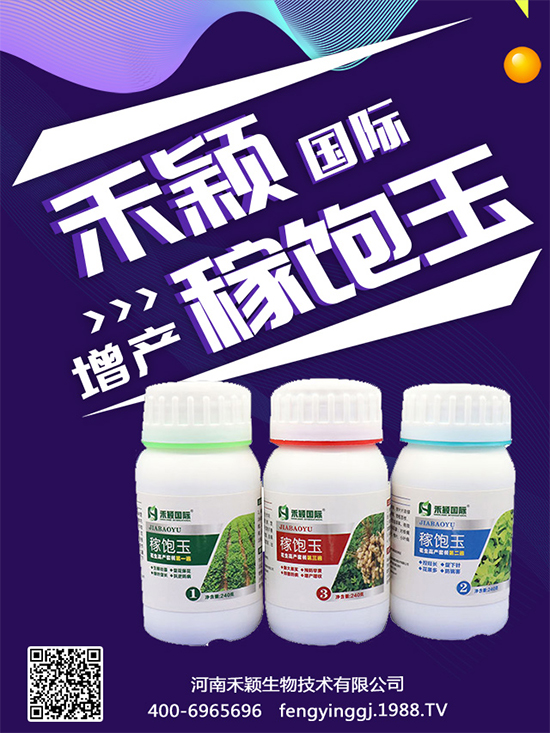 秋葵種植和收獲時間，秋葵種植的生長環(huán)境！