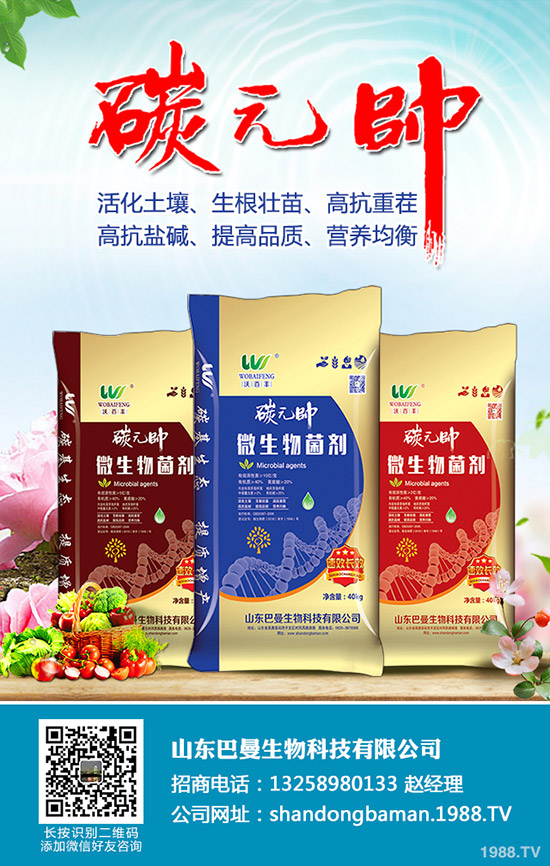     中秋假期后！最新磷酸二銨價(jià)格行情走勢(shì)分析2019-9-16