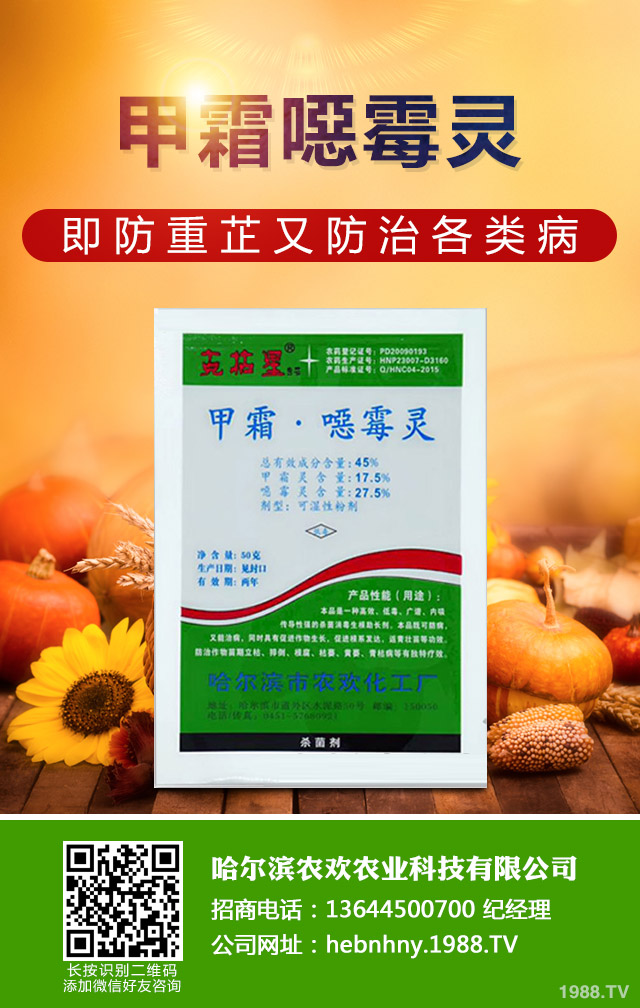 哪些方法能桑樹赤銹病？桑樹赤銹病防治技巧