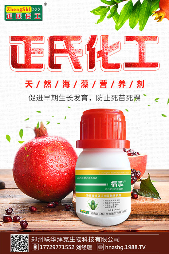 金銀花有什么作用，金銀花的功效與食用禁忌！