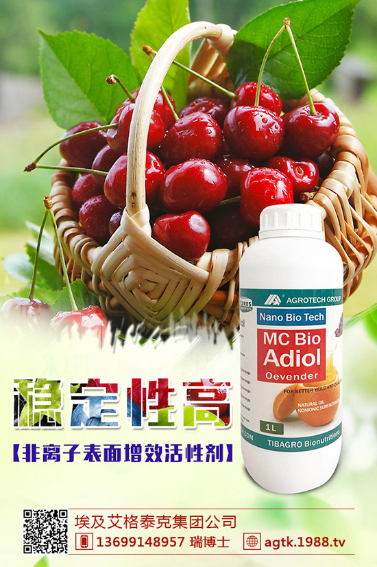 金銀花怎樣種好，金銀花種植要點！