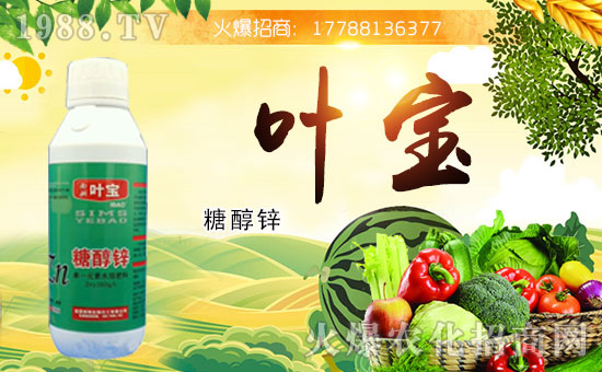 ���������������ό��~�y��1988.TV������W(w��ng)�j(lu��)�������E��