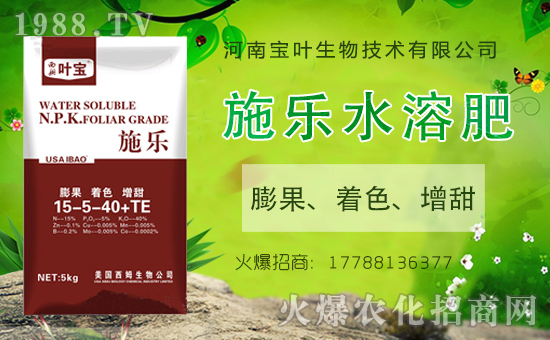 ���������������ό��~�y��1988.TV������W(w��ng)�j(lu��)�������E��