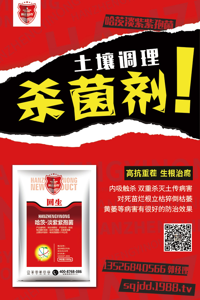 ������������ô�k���������������Ú�������B