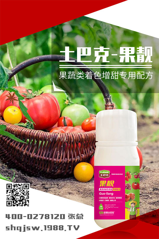 南瓜種植時(shí)間是什么時(shí)候？南瓜的播種方法及栽培技術(shù)!