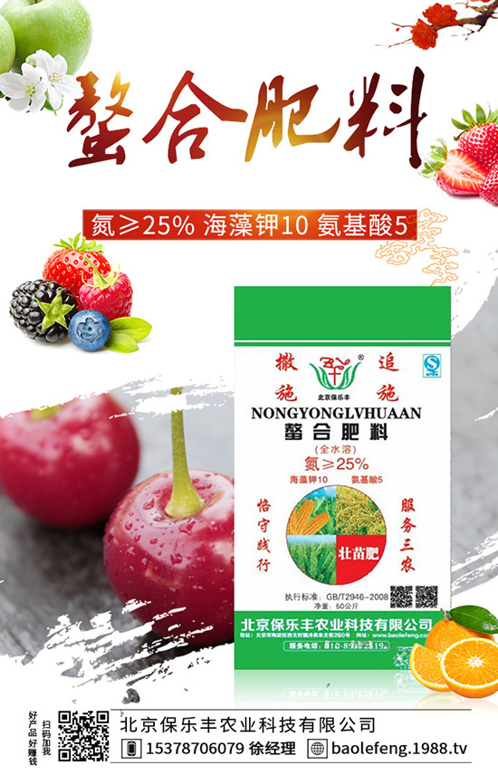 西紅柿如何打葉，西紅柿打葉技巧及注意事項