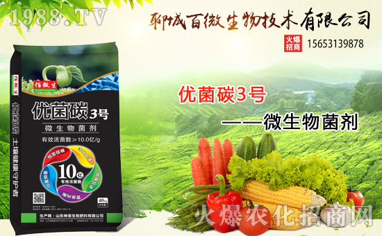 �������x������(j��)���ĳǰ�΢���m(x��)ǰ�����y���r(n��ng)���W(w��ng)����(chu��ng)���x����