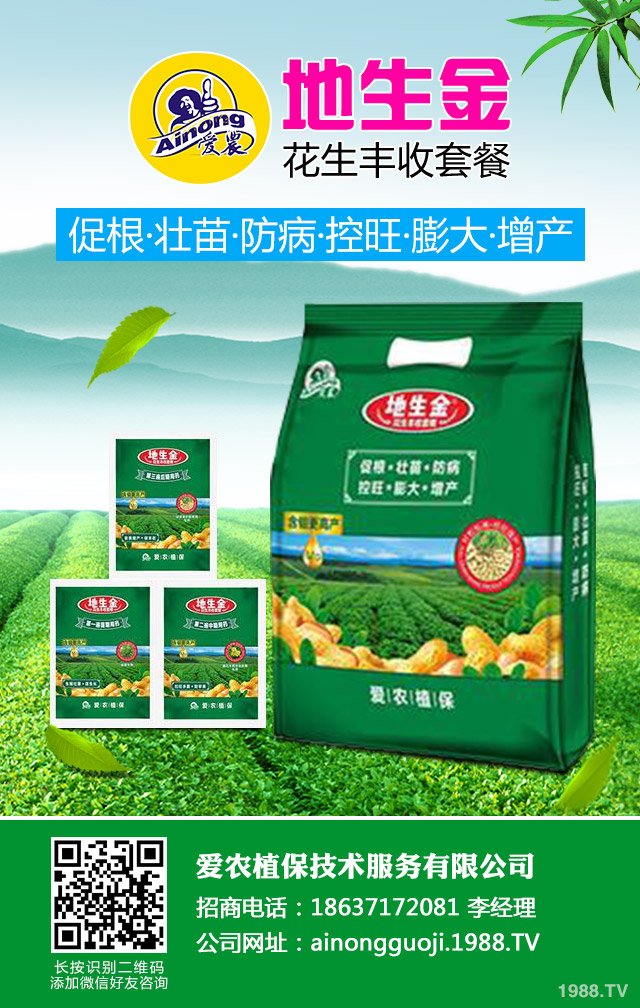 地膜棉花倒伏如何防治？地膜棉花倒伏應(yīng)對(duì)措施