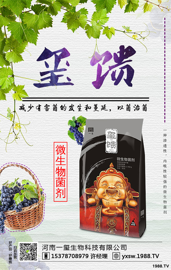     北方怎樣種植藍(lán)莓？種植藍(lán)莓應(yīng)該注意什么？