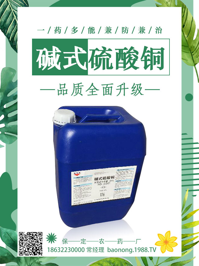 馬鈴薯病害怎么防治?馬鈴薯主要病害防治