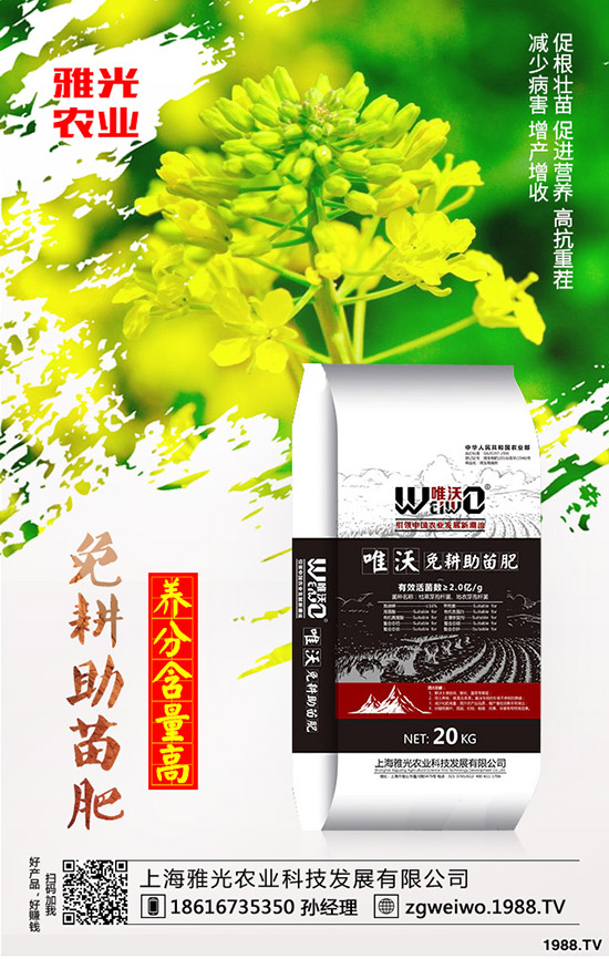 紫薯有哪些營養(yǎng)價值，紫薯與紅薯相比哪個更有營養(yǎng)？