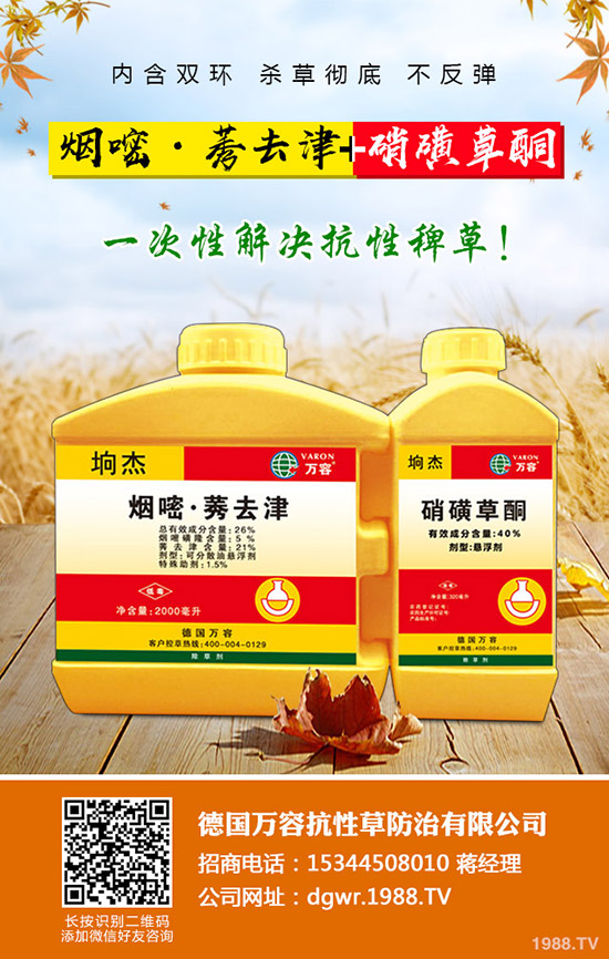 ��������ô�޽���������޽ӷ�����