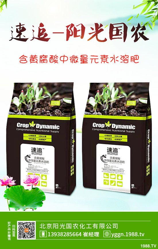     ���c������������@�r���Ƿ�Ӱ푣����¶��@�������2019-9-241-(238)