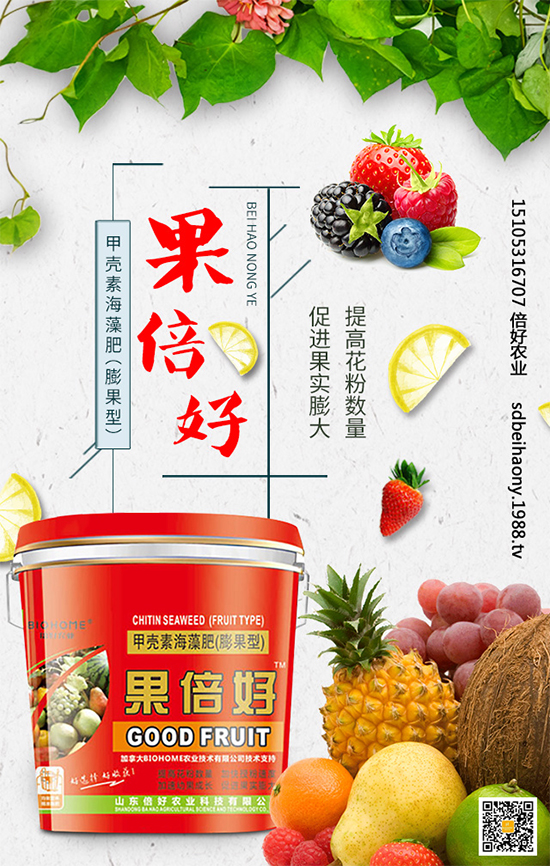 ʥŮ��ʲô�r(sh��)�g�Nֲ��ʥŮ���Nֲ���g(sh��)Ҫ�c(di��n)����Щ��