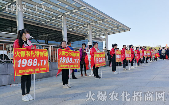     2019�L��ֲ������1988.TV�����o̎�������������࣡�ݲ��ɓ���