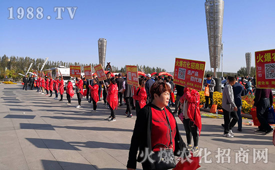 ���r(n��ng)���W(w��ng)2019�L��ֲ�����r(n��ng)�Y���[����(zh��n)���x��