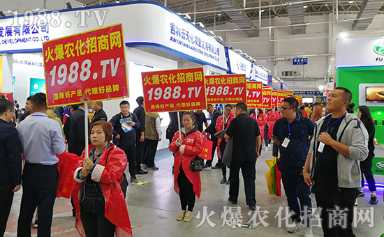 ���r(n��ng)���W(w��ng)2019�L��ֲ�����r(n��ng)�Y���[����(zh��n)���x��