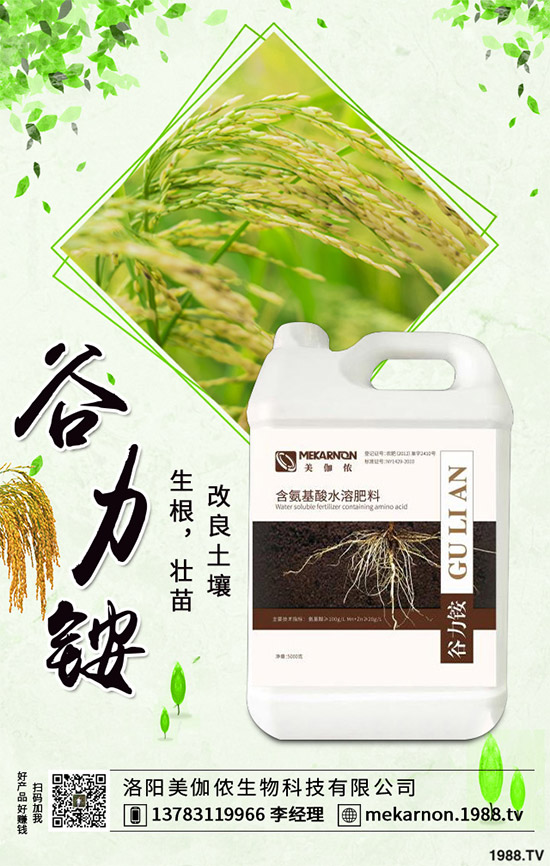 茼蒿該怎么播種？茼蒿高產(chǎn)種植管理方案