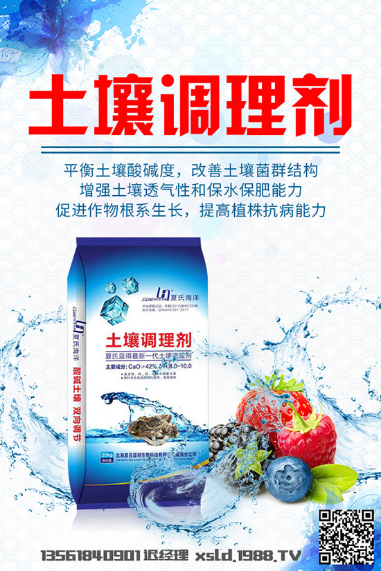 大白菜爛根是什么原因，大白菜爛根的發(fā)生原因及防治方法！