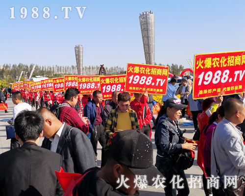 ���r(n��ng)�����̾W(w��ng)ʢ�b����2019��ʮ�����L��ֲ������