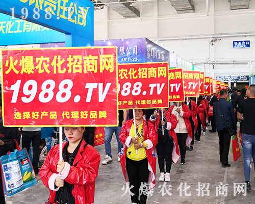 2019�L��ֲ���������r(n��ng)���W(w��ng)�����ƏV�ݲ��ɓ���