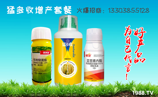     ���r(n��ng)���W(w��ng)ϲӭ�����ѣ����τ٠��𱬁��u�����v�ɹ���