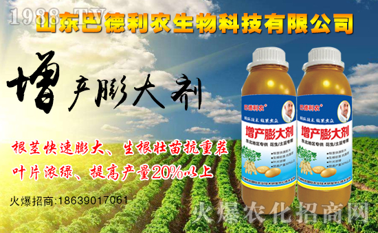 ����ף�Rɽ�|�͵����r����1988.TV���_���W�j������ģʽ��