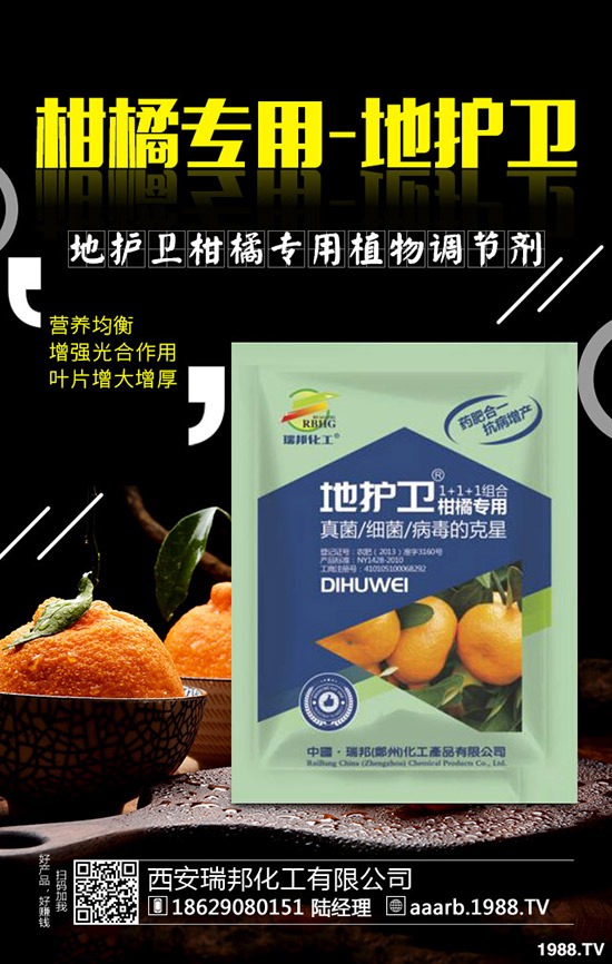 香菜種子如何催芽，香菜提高出苗率的好方法！