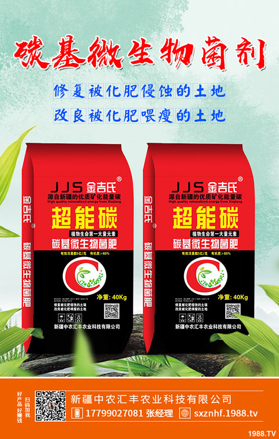 木瓜怎么種植效果？學(xué)會這幾點(diǎn)，輕松大豐收！