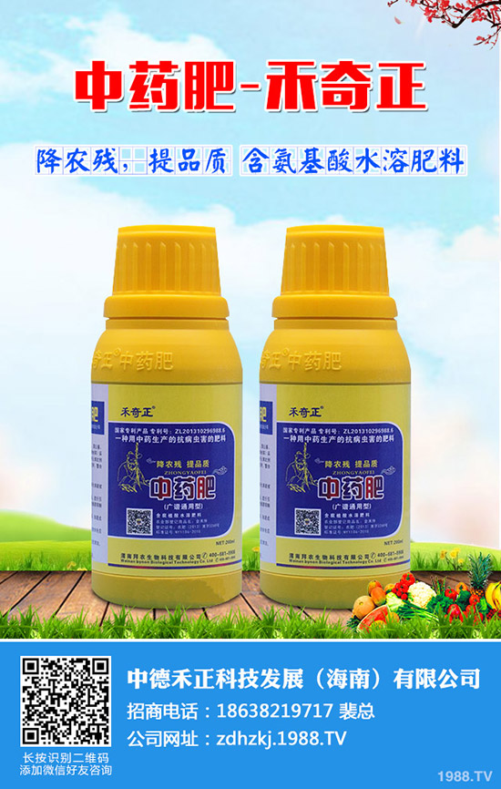 金絲瓜如何栽培，金絲瓜種植小技巧！