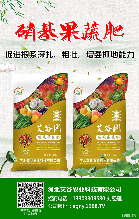 茼蒿該怎么吃？茼蒿的營(yíng)養(yǎng)吃法及注意事項(xiàng)