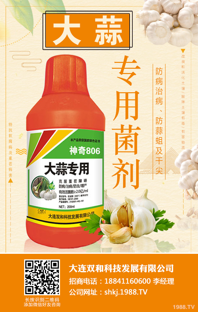 �����ز粡����η����������ز粡�����μ���