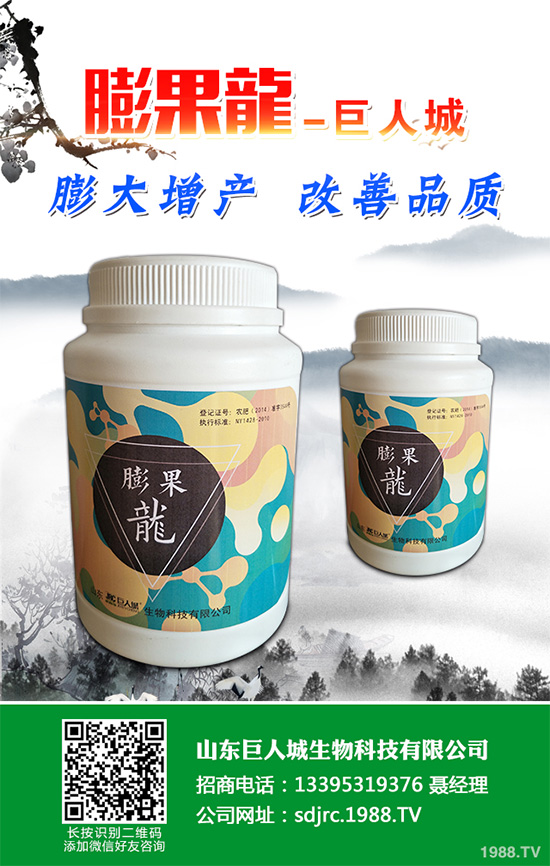萵苣該如何施肥？萵苣的高產(chǎn)施肥技術(shù)有哪些？這些方法很重要！
