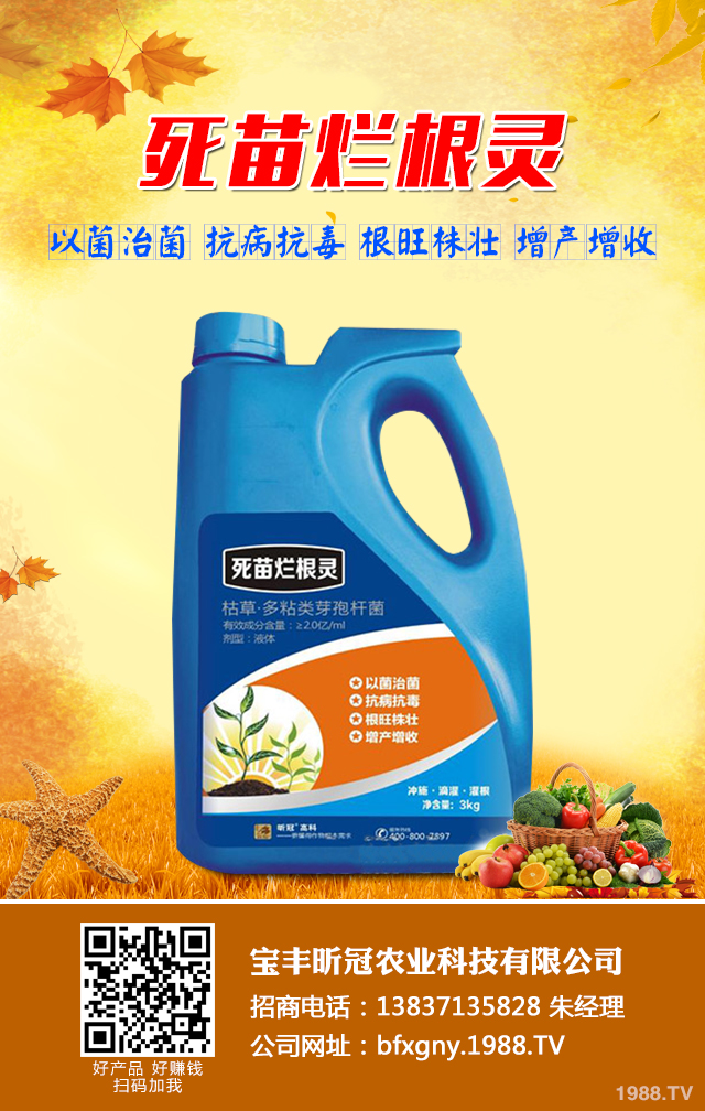 小麥死苗應(yīng)該如何防治？小麥死苗的原因