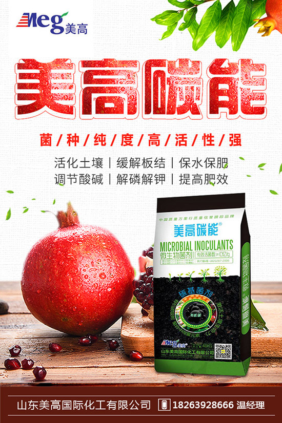     秋季家庭陽(yáng)臺(tái)種植什么蔬菜好？秋冬陽(yáng)臺(tái)種菜的方法！