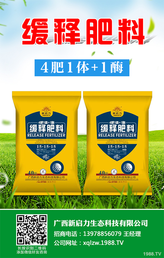 秋甘藍(lán)該怎么種植？秋甘藍(lán)高產(chǎn)種植技術(shù)