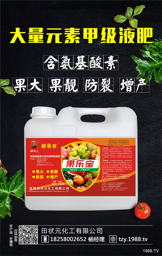     萵苣灰霉病有哪些危害癥狀？是如何引起的？快來看看吧！