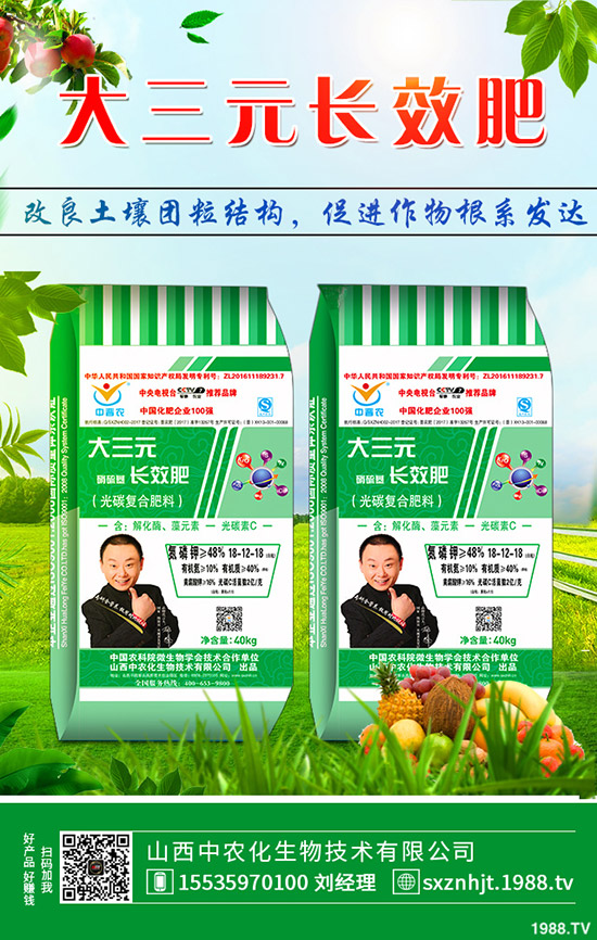     秋季大蔥如何管理？秋季大蔥種植管理方法及技術(shù)！