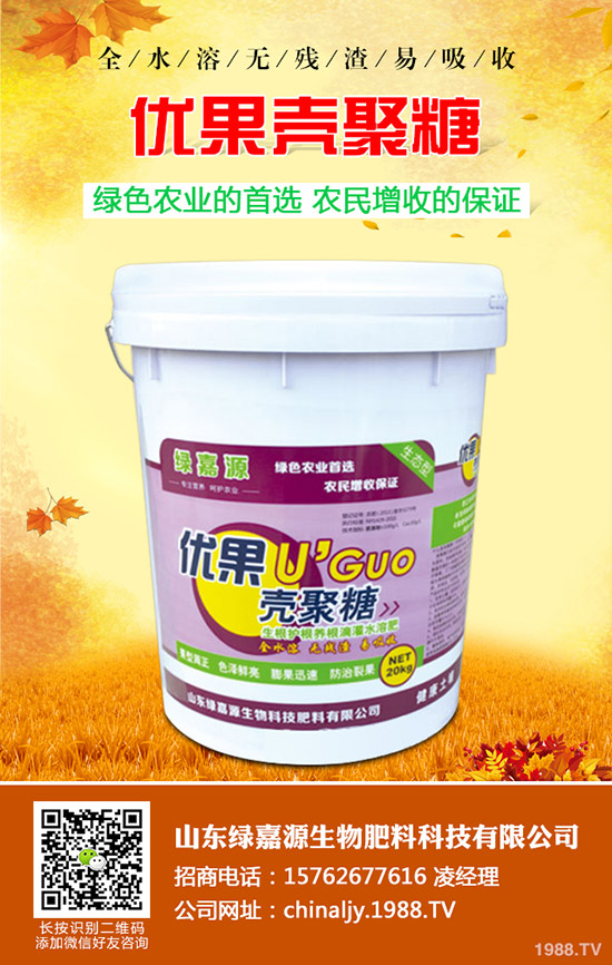 影響水稻分蘗的因素有哪些？如何提高水稻分蘗？