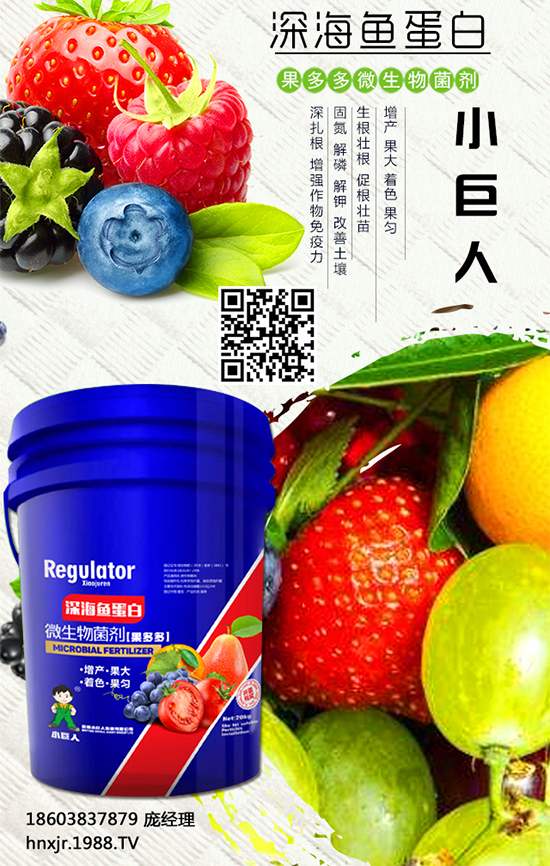 紅薯怎么種植？紅薯種植的高產管理要點 