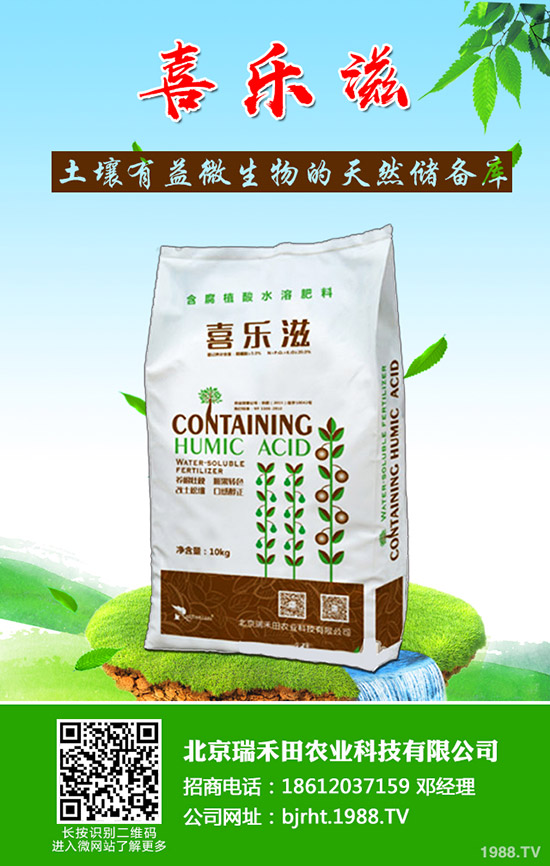 草莓緩苗期如何管理？草莓苗期管理注意事項(xiàng)!