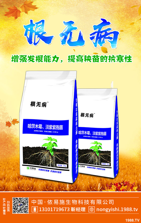     香菜、大蔥、香蔥種植賺錢嗎？常見調(diào)味型蔬菜種植利潤分析！