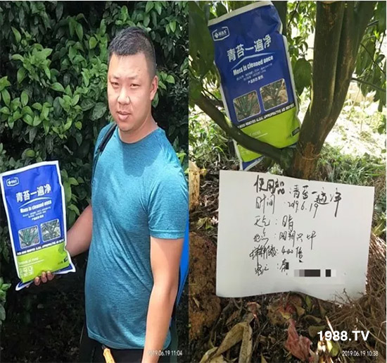 神奇除青苔劑！，不反彈！干凈，青苔無蹤！