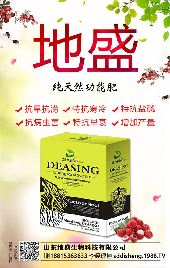 油茶樹的種植管理方法，油茶樹的經(jīng)濟(jì)價(jià)值如何？