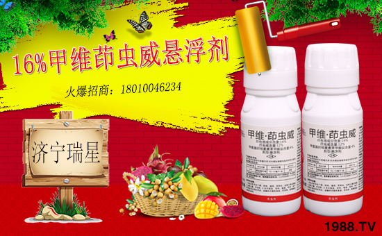 ����(j��)�����ǡ�ȫ�w�T����ףȫ��(gu��)��(j��ng)�N�����w�������f(w��n)��������