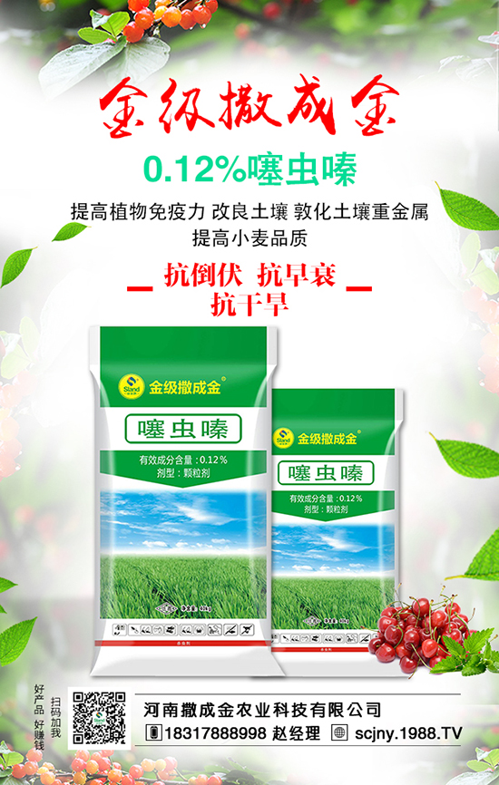 ��ʩ���з���������ʩ�����v��