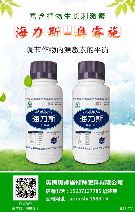 韭菜什么時(shí)候種植更好，韭菜種植時(shí)間和栽培技術(shù)