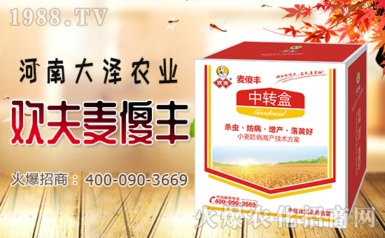 ������r(n��ng)�I(y��)��ף������µ�һ���������d¡��ؔԴ�L�L��