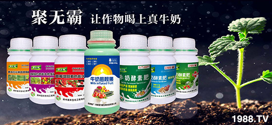 ���������S���۟o��ţ�̷���׌���������ţ������ף����������