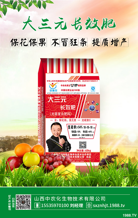 大棚早春茬西瓜如何育苗?大棚早春茬西瓜種植管理方法有哪些?